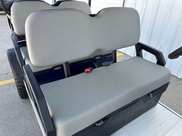 2025 Advanced EV AEV 6 Series Limo For Sale - Image 6