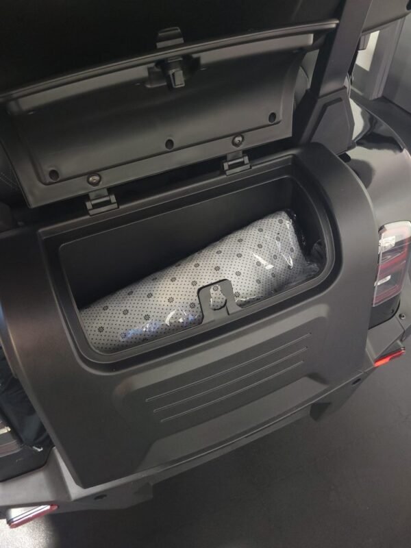 2025 Denago EV Rover XXL For Sale - Image 10