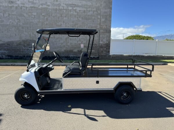 2025 Evolution Turfman For Sale - Image 2