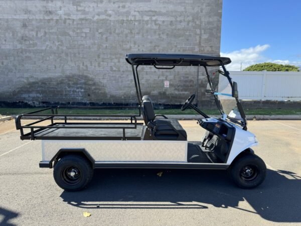 2025 Evolution Turfman For Sale - Image 4