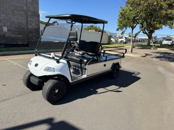 2025 Evolution Turfman For Sale