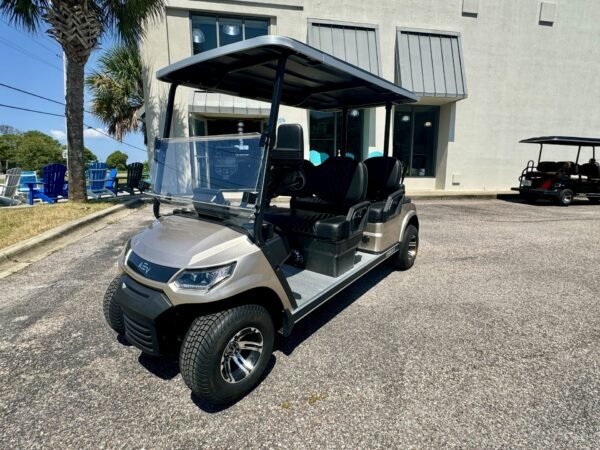 2024 Advanced EV Advent 4F For Sale