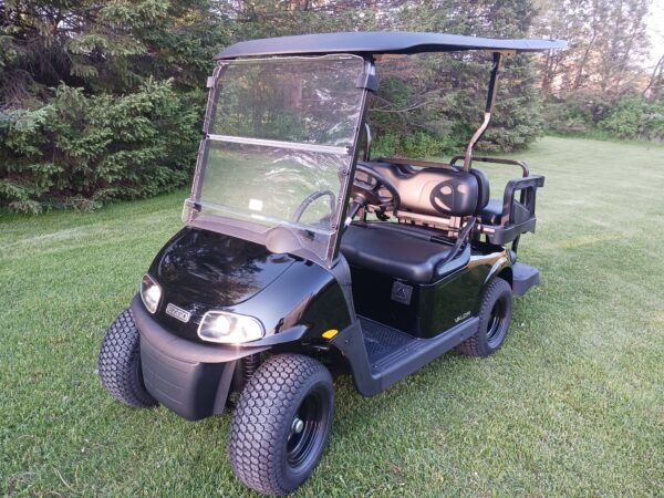 2024 E-Z-GO Valor For Sale
