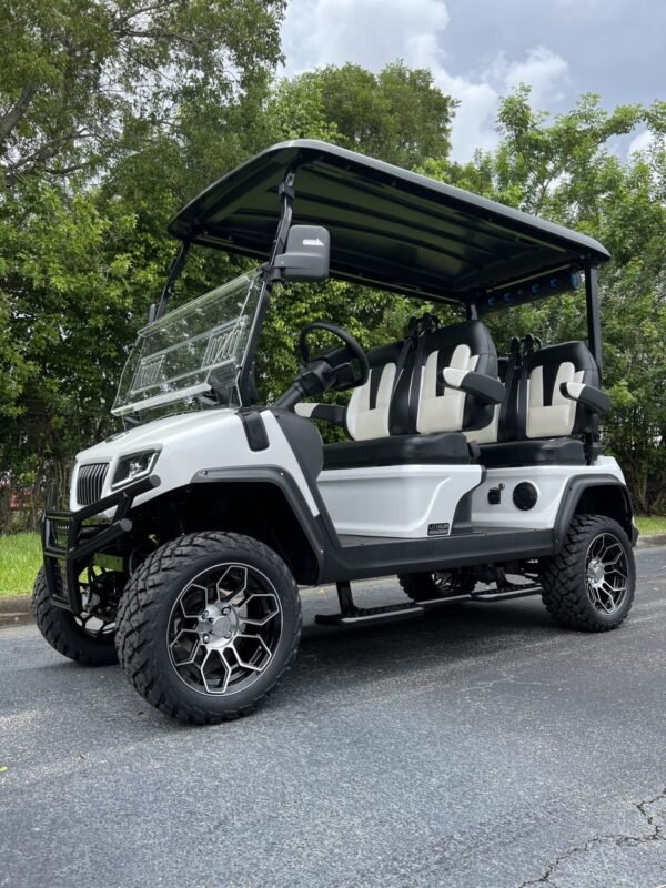 2025 Evolution D5-Maverick 4 For Sale