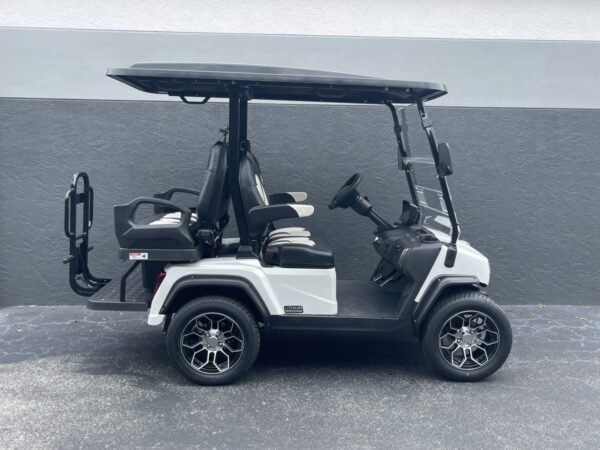 2025 Evolution D5 Ranger 2+2 For Sale - Image 2