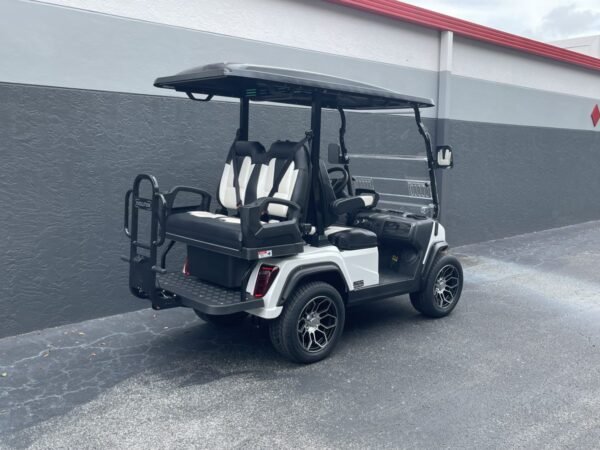 2025 Evolution D5 Ranger 2+2 For Sale - Image 3