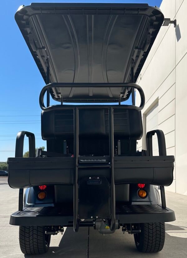 2025 Evolution 4 Seater For Sale - Image 6