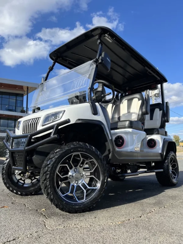 2025 Evolution D5 Maverick For Sale